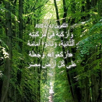 Picture 04 - اَلتَّكْوِينُ 41:43 AVD - وَأَرْكَبَهُ فِي - Bible Verse Picture