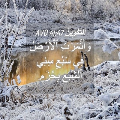 Picture 04 - اَلتَّكْوِينُ 41:47 AVD - وَأَثْمَرَتِ ٱلْأَرْضُ - Bible Verse Picture