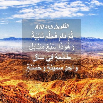 Picture 04 - اَلتَّكْوِينُ 41:5 AVD - ثُمَّ نَامَ فَحَلُمَ - Bible Verse Picture