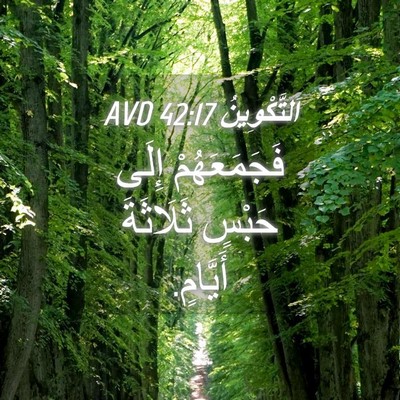 Picture 04 - اَلتَّكْوِينُ 42:17 AVD - فَجَمَعَهُمْ إِلَى حَبْسٍ - Bible Verse Picture