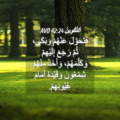 Picture 04 - اَلتَّكْوِينُ 42:24 AVD - فَتَحَوَّلَ عَنْهُمْ - Bible Verse Picture