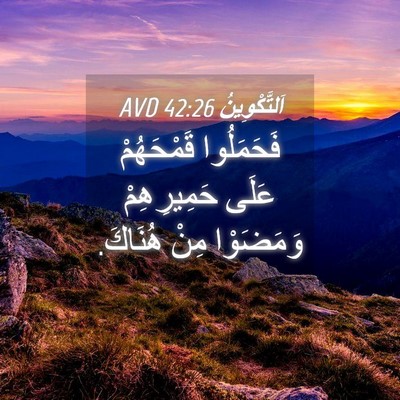 Picture 04 - اَلتَّكْوِينُ 42:26 AVD - فَحَمَلُوا قَمْحَهُمْ - Bible Verse Picture