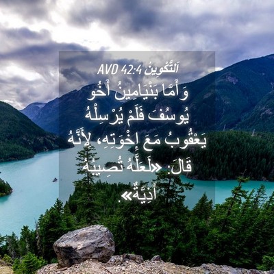 Picture 04 - اَلتَّكْوِينُ 42:4 AVD - وَأَمَّا بَنْيَامِينُ - Bible Verse Picture