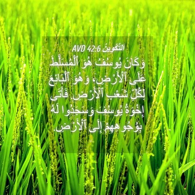 Picture 04 - اَلتَّكْوِينُ 42:6 AVD - وَكَانَ يُوسُفُ هُوَ - Bible Verse Picture