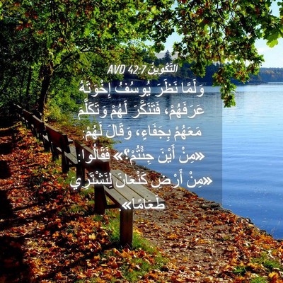 Picture 04 - اَلتَّكْوِينُ 42:7 AVD - وَلَمَّا نَظَرَ يُوسُفُ - Bible Verse Picture