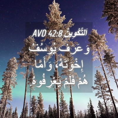 Picture 04 - اَلتَّكْوِينُ 42:8 AVD - وَعَرَفَ يُوسُفُ - Bible Verse Picture