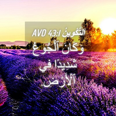Picture 04 - اَلتَّكْوِينُ 43:1 AVD - وَكَانَ ٱلْجُوعُ شَدِيدًا - Bible Verse Picture