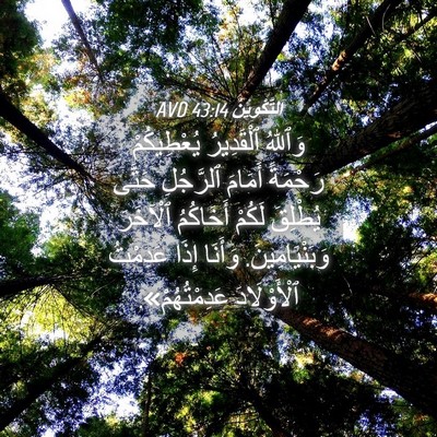 Picture 04 - اَلتَّكْوِينُ 43:14 AVD - وَٱللهُ ٱلْقَدِيرُ - Bible Verse Picture