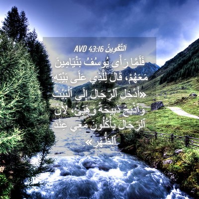 Picture 04 - اَلتَّكْوِينُ 43:16 AVD - فَلَمَّا رَأَى يُوسُفُ - Bible Verse Picture