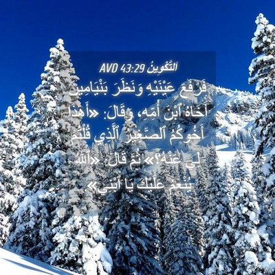 Picture 04 - اَلتَّكْوِينُ 43:29 AVD - فَرَفَعَ عَيْنَيْهِ - Bible Verse Picture