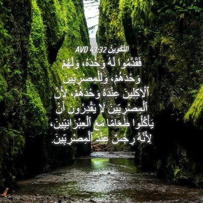 Picture 04 - اَلتَّكْوِينُ 43:32 AVD - فَقَدَّمُوا لَهُ - Bible Verse Picture