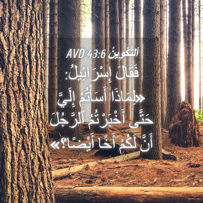Picture 04 - اَلتَّكْوِينُ 43:6 AVD - فَقَالَ إِسْرَائِيلُ: - Bible Verse Picture