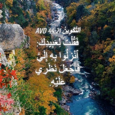 Picture 04 - اَلتَّكْوِينُ 44:21 AVD - فَقُلْتَ لِعَبِيدِكَ: - Bible Verse Picture