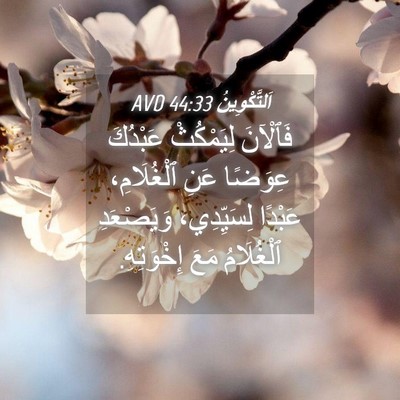 Picture 04 - اَلتَّكْوِينُ 44:33 AVD - فَٱلْآنَ لِيَمْكُثْ - Bible Verse Picture