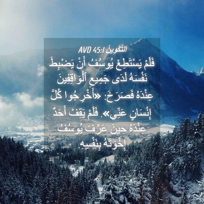 Picture 04 - اَلتَّكْوِينُ 45:1 AVD - فَلَمْ يَسْتَطِعْ يُوسُفُ - Bible Verse Picture