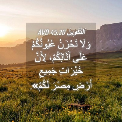 Picture 04 - اَلتَّكْوِينُ 45:20 AVD - وَلَا تَحْزَنْ - Bible Verse Picture