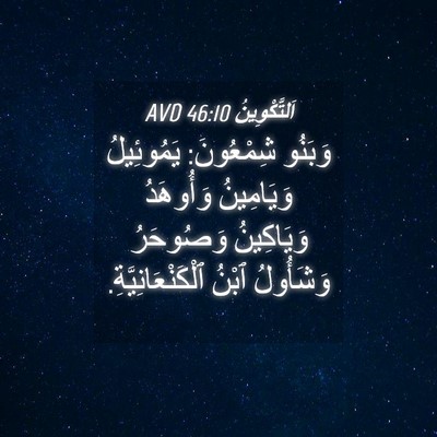 Picture 04 - اَلتَّكْوِينُ 46:10 AVD - وَبَنُو شِمْعُونَ: - Bible Verse Picture