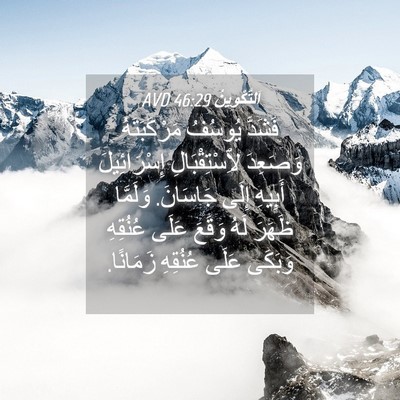 Picture 04 - اَلتَّكْوِينُ 46:29 AVD - فَشَدَّ يُوسُفُ - Bible Verse Picture