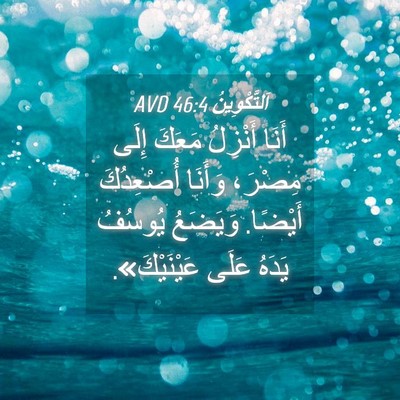 Picture 04 - اَلتَّكْوِينُ 46:4 AVD - أَنَا أَنْزِلُ مَعَكَ - Bible Verse Picture
