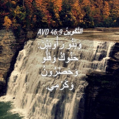 Picture 04 - اَلتَّكْوِينُ 46:9 AVD - وَبَنُو رَأُوبَيْنَ: - Bible Verse Picture