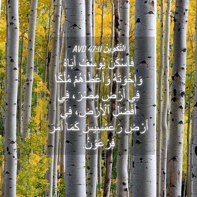 Picture 04 - اَلتَّكْوِينُ 47:11 AVD - فَأَسْكَنَ يُوسُفُ - Bible Verse Picture