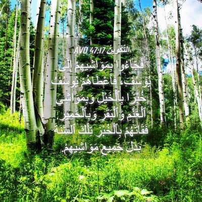 Picture 04 - اَلتَّكْوِينُ 47:17 AVD - فَجَاءُوا بِمَوَاشِيهِمْ - Bible Verse Picture