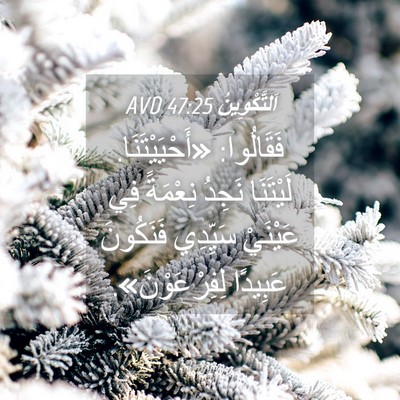 Picture 04 - اَلتَّكْوِينُ 47:25 AVD - فَقَالُوا: «أَحْيَيْتَنَا. - Bible Verse Picture