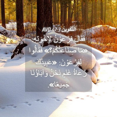Picture 04 - اَلتَّكْوِينُ 47:3 AVD - فَقَالَ فِرْعَوْنُ - Bible Verse Picture