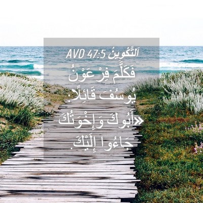 Picture 04 - اَلتَّكْوِينُ 47:5 AVD - فَكَلَّمَ فِرْعَوْنُ - Bible Verse Picture