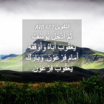 Picture 04 - اَلتَّكْوِينُ 47:7 AVD - ثُمَّ أَدْخَلَ يُوسُفُ - Bible Verse Picture