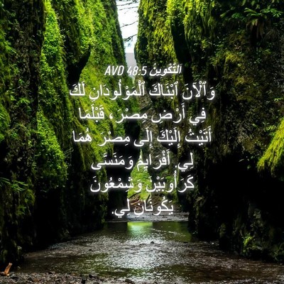 Picture 04 - اَلتَّكْوِينُ 48:5 AVD - وَٱلْآنَ ٱبْنَاكَ - Bible Verse Picture
