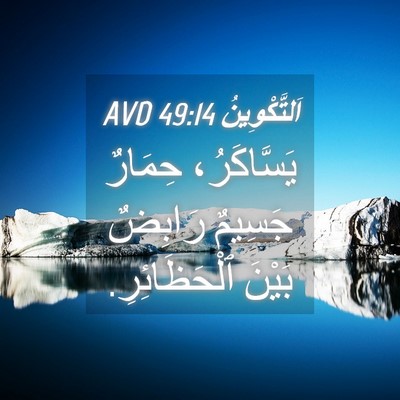 Picture 04 - اَلتَّكْوِينُ 49:14 AVD - يَسَّاكَرُ، حِمَارٌ - Bible Verse Picture