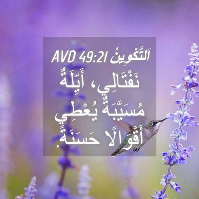 Picture 04 - اَلتَّكْوِينُ 49:21 AVD - نَفْتَالِي، أَيِّلَةٌ - Bible Verse Picture