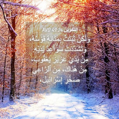 Picture 04 - اَلتَّكْوِينُ 49:24 AVD - وَلَكِنْ ثَبَتَتْ - Bible Verse Picture