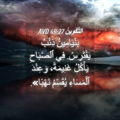 Picture 04 - اَلتَّكْوِينُ 49:27 AVD - بَنْيَامِينُ ذِئْبٌ - Bible Verse Picture
