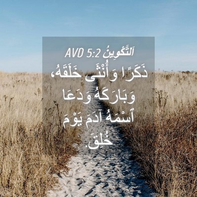 Picture 04 - اَلتَّكْوِينُ 5:2 AVD - ذَكَرًا وَأُنْثَى - Bible Verse Picture