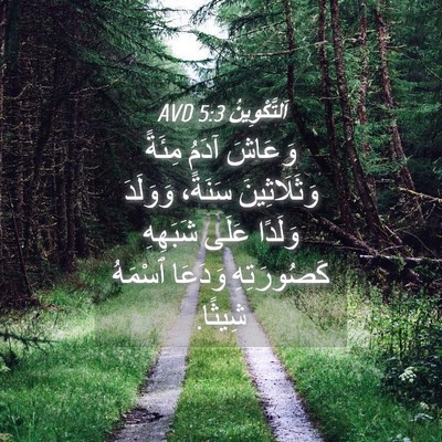 Picture 04 - اَلتَّكْوِينُ 5:3 AVD - وَعَاشَ آدَمُ مِئَةً - Bible Verse Picture