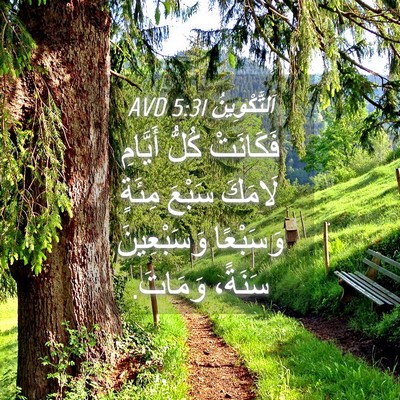 Picture 04 - اَلتَّكْوِينُ 5:31 AVD - فَكَانَتْ كُلُّ أَيَّامِ - Bible Verse Picture