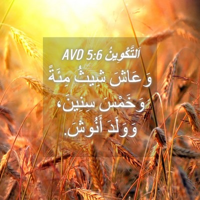 Picture 04 - اَلتَّكْوِينُ 5:6 AVD - وَعَاشَ شِيثُ مِئَةً - Bible Verse Picture