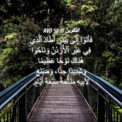 Picture 04 - اَلتَّكْوِينُ 50:10 AVD - فَأَتَوْا إِلَى بَيْدَرِ - Bible Verse Picture