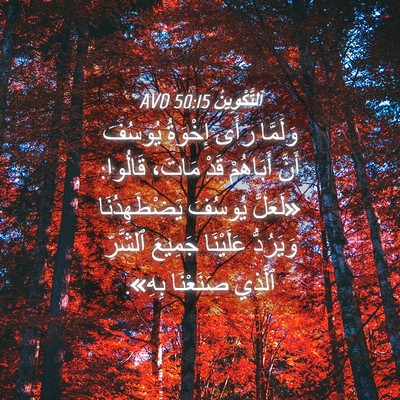 Picture 04 - اَلتَّكْوِينُ 50:15 AVD - وَلَمَّا رَأَى إِخْوَةُ - Bible Verse Picture