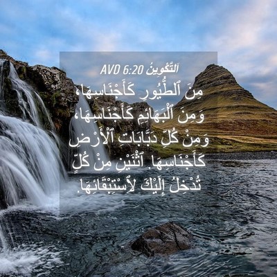 Picture 04 - اَلتَّكْوِينُ 6:20 AVD - مِنَ ٱلطُّيُورِ - Bible Verse Picture