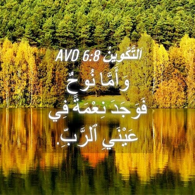 Picture 04 - اَلتَّكْوِينُ 6:8 AVD - وَأَمَّا نُوحٌ فَوَجَدَ - Bible Verse Picture