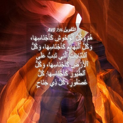 Picture 04 - اَلتَّكْوِينُ 7:14 AVD - هُمْ وَكُلُّ ٱلْوُحُوشِ - Bible Verse Picture