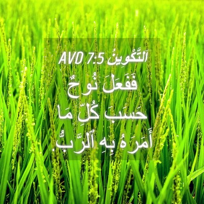 Picture 04 - اَلتَّكْوِينُ 7:5 AVD - فَفَعَلَ نُوحٌ حَسَبَ - Bible Verse Picture