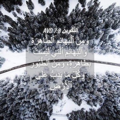 Picture 04 - اَلتَّكْوِينُ 7:8 AVD - وَمِنَ ٱلْبَهَائِمِ - Bible Verse Picture
