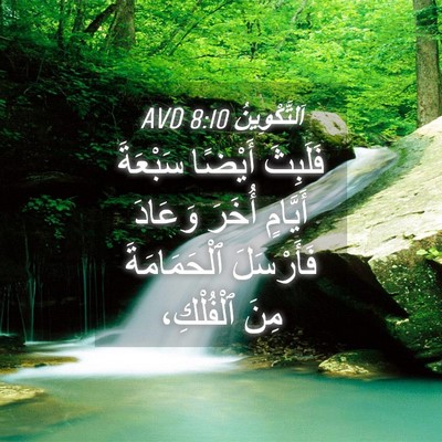 Picture 04 - اَلتَّكْوِينُ 8:10 AVD - فَلَبِثَ أَيْضًا سَبْعَةَ - Bible Verse Picture