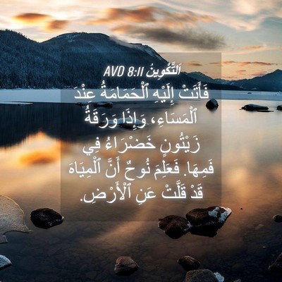 Picture 04 - اَلتَّكْوِينُ 8:11 AVD - فَأَتَتْ إِلَيْهِ - Bible Verse Picture