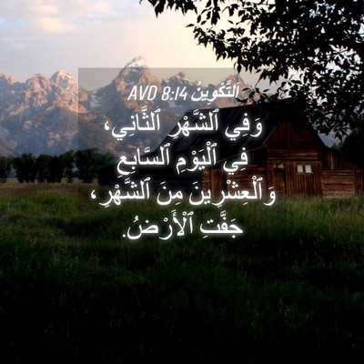 Picture 04 - اَلتَّكْوِينُ 8:14 AVD - وَفِي ٱلشَّهْرِ - Bible Verse Picture