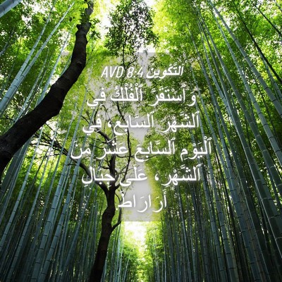 Picture 04 - اَلتَّكْوِينُ 8:4 AVD - وَٱسْتَقَرَّ ٱلْفُلْكُ - Bible Verse Picture